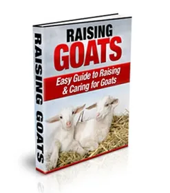 Raising Goats cover