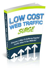 Low Cost Web Traffic Surge cover